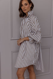 LYCIUM Dress Taupe Stripe
