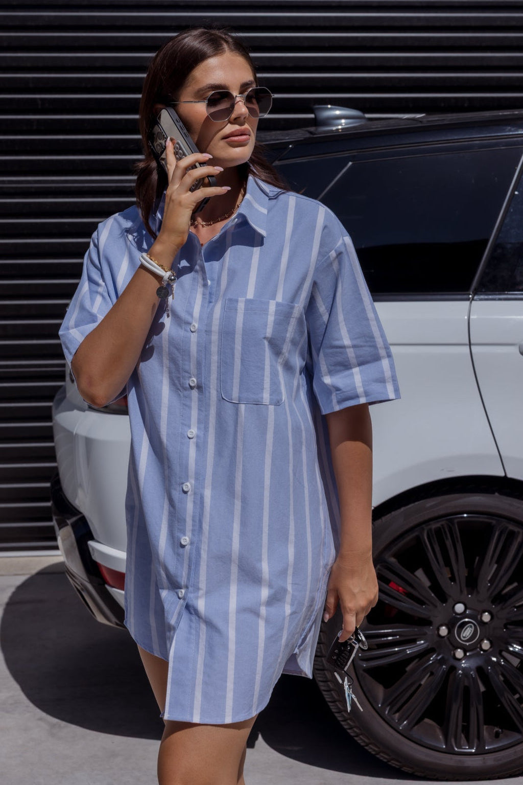 APEX Dress Chambray Blue Stripe