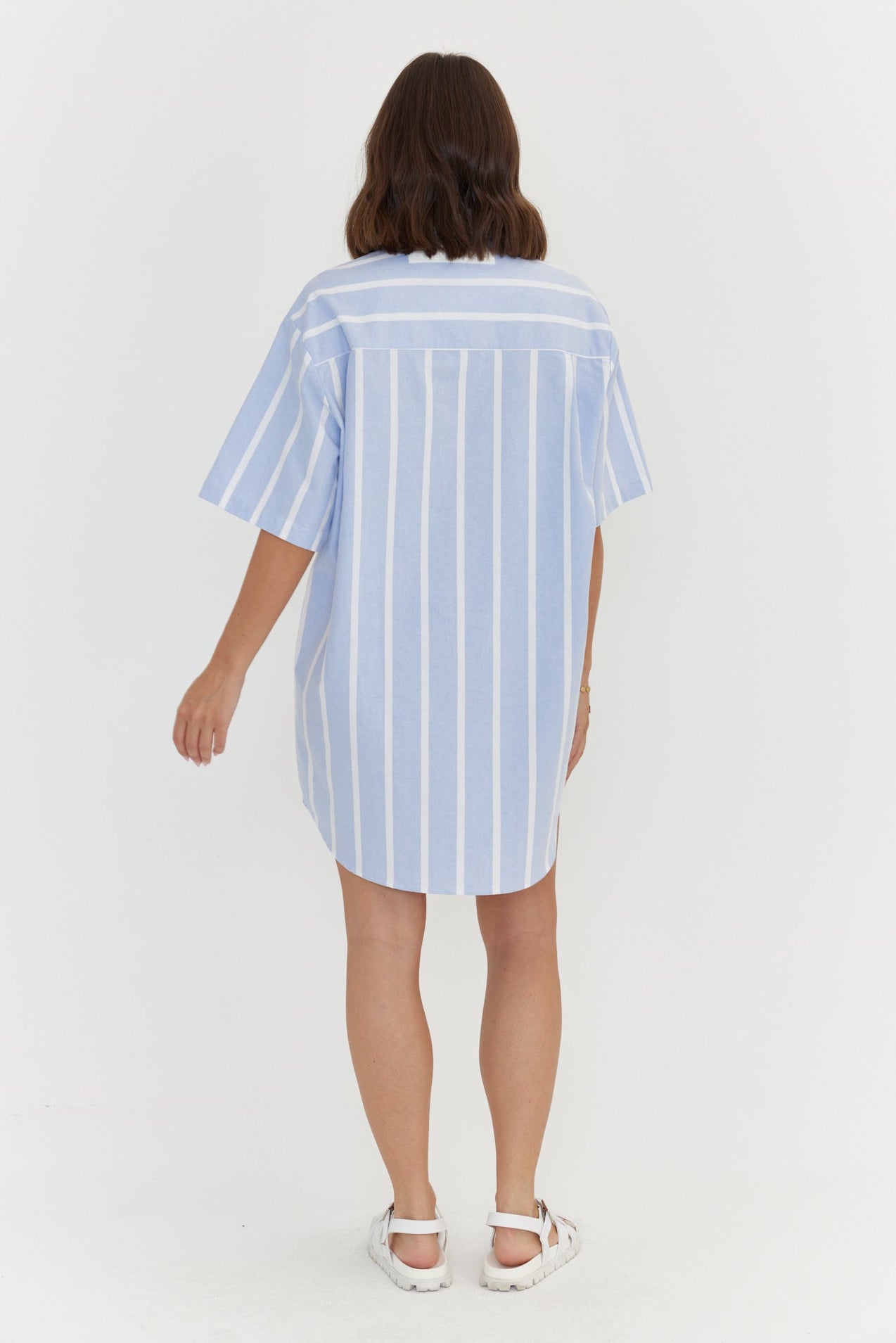 APEX Dress Chambray Blue Stripe
