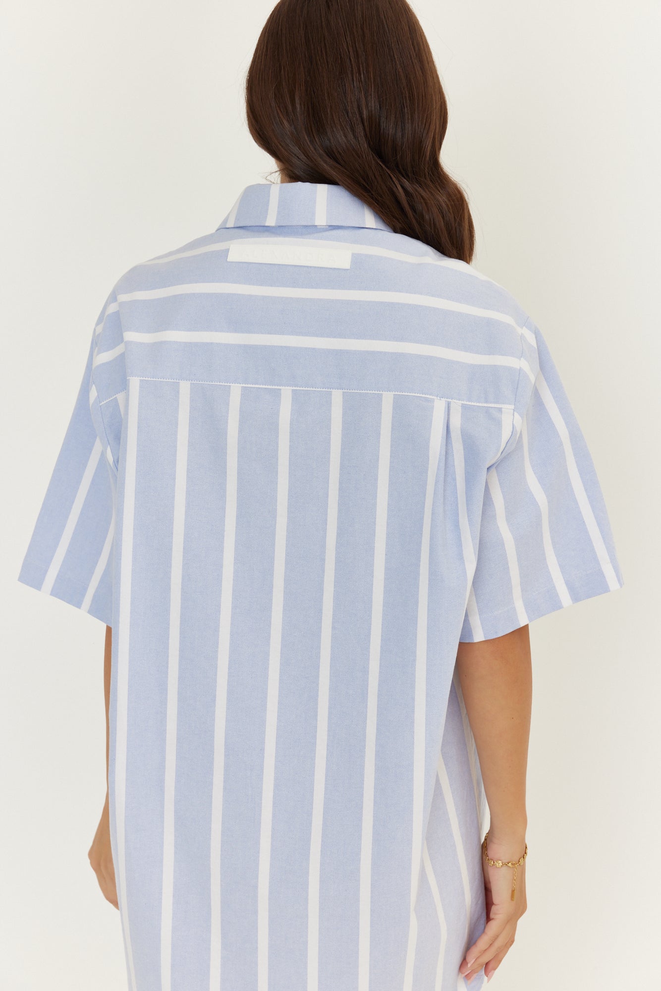 APEX Dress Chambray Blue Stripe
