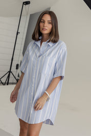 APEX Dress Chambray Blue Stripe