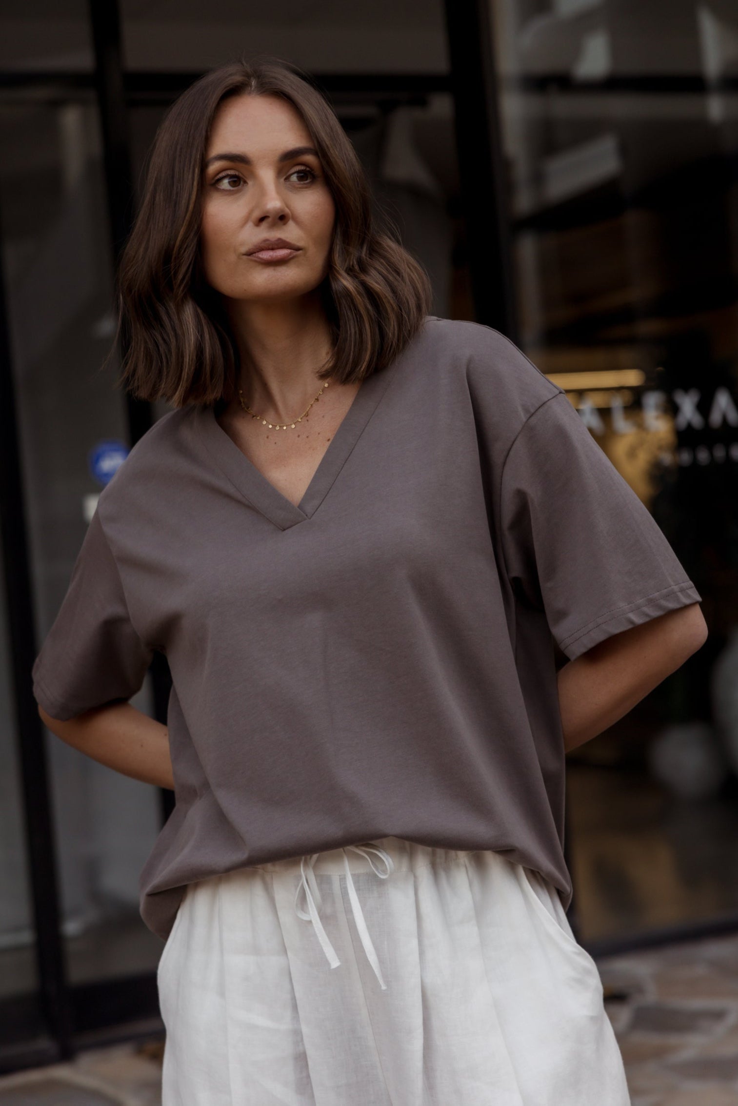 NIX V-Neck T-Shirt Taupe Brown – A L E X A N D R A