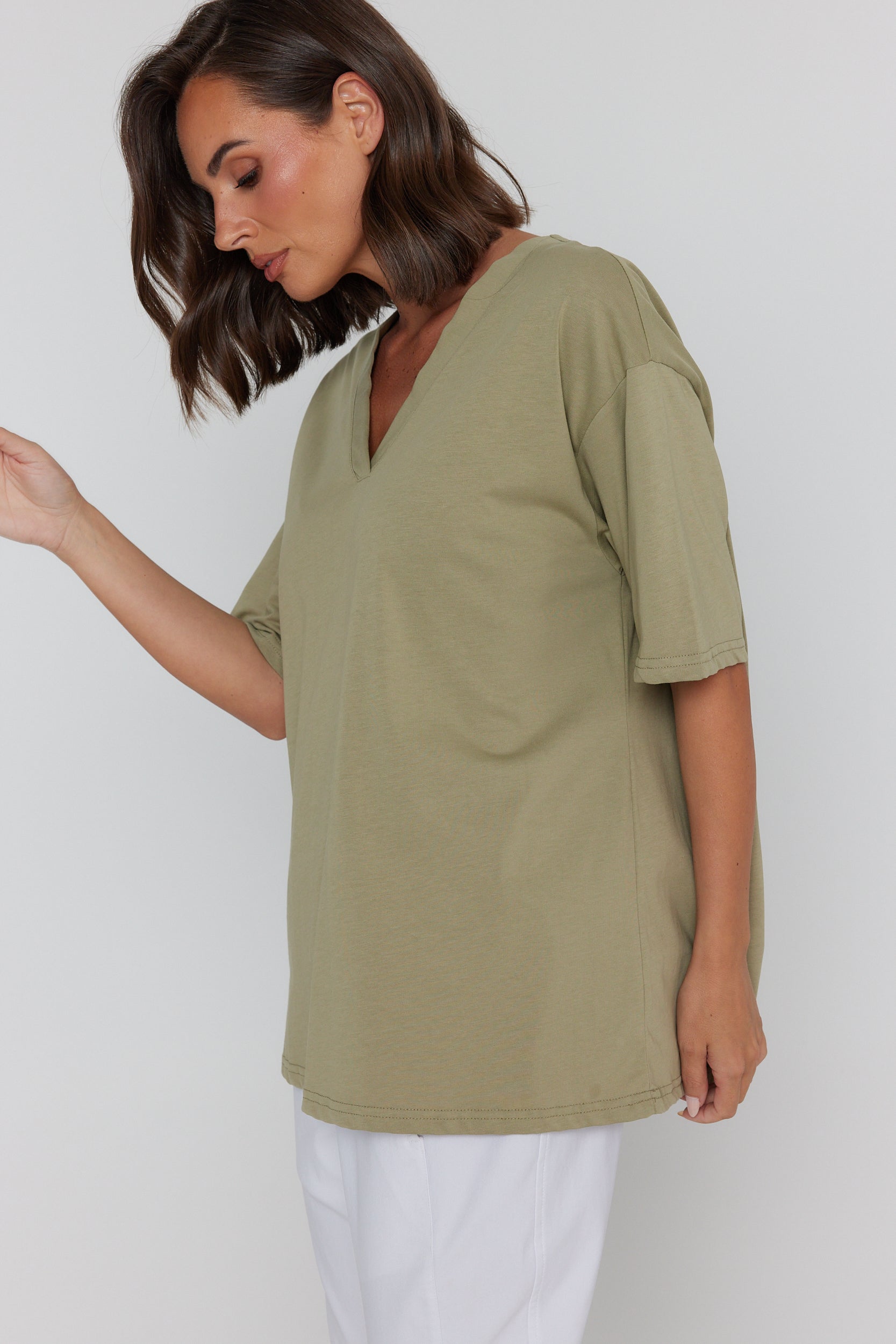 NIX V-Neck T-Shirt Green Taupe