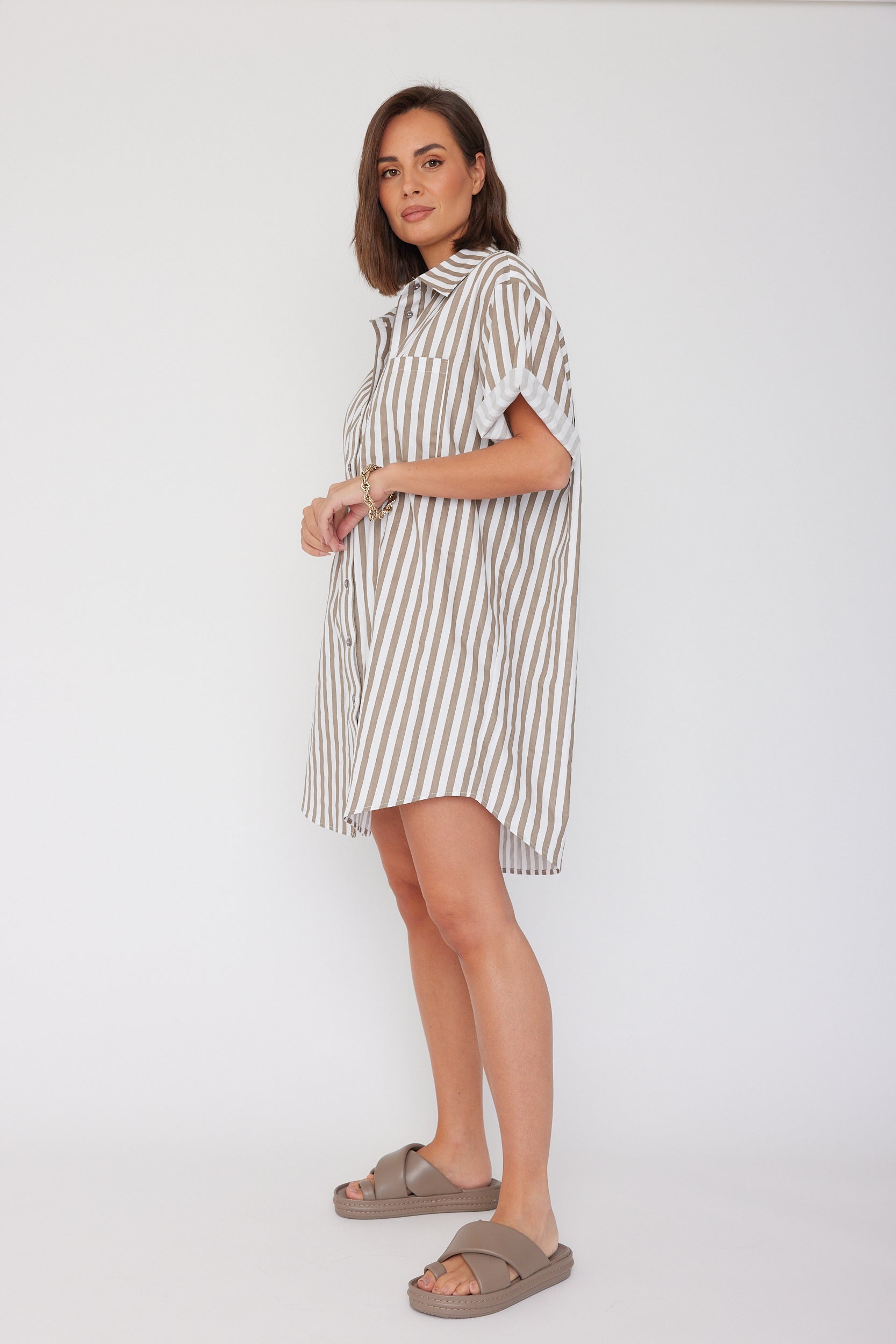 APEX Dress Taupe Stripe