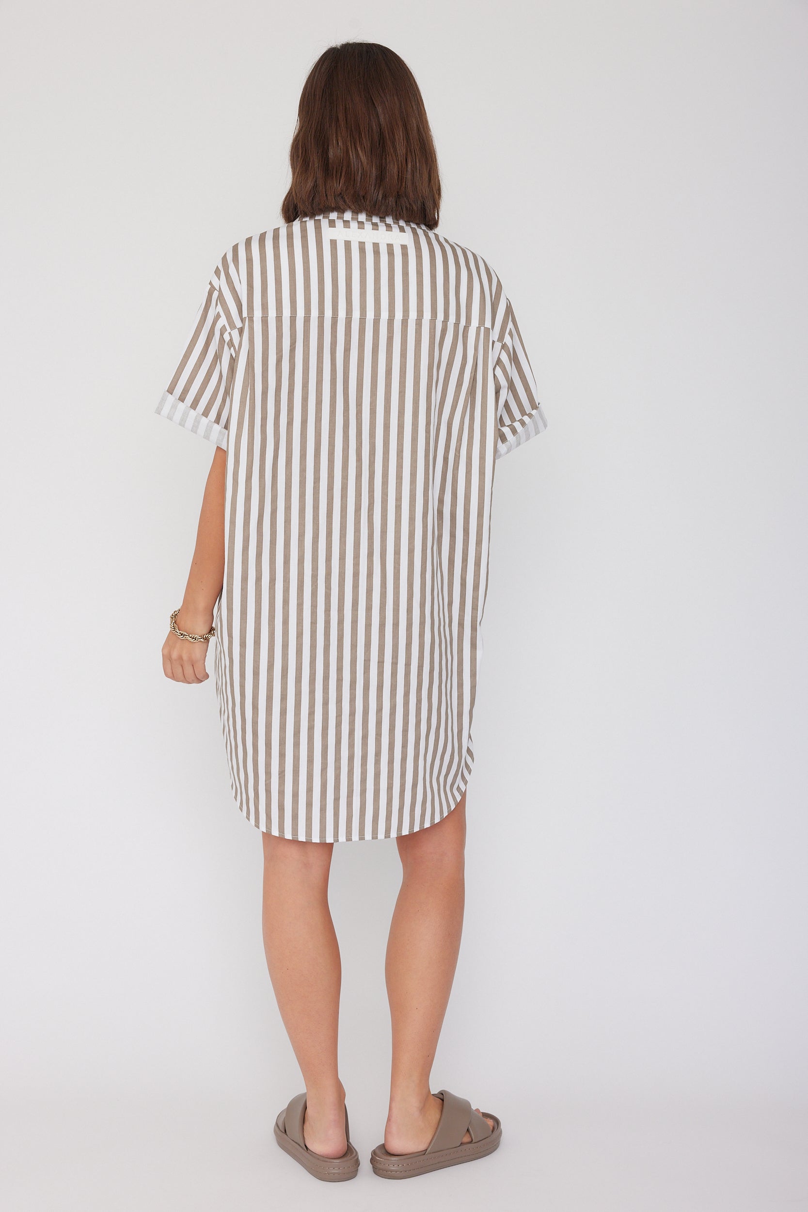 APEX Dress Taupe Stripe