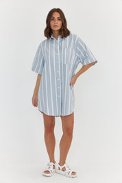 APEX Dress Chambray Sage Stripe
