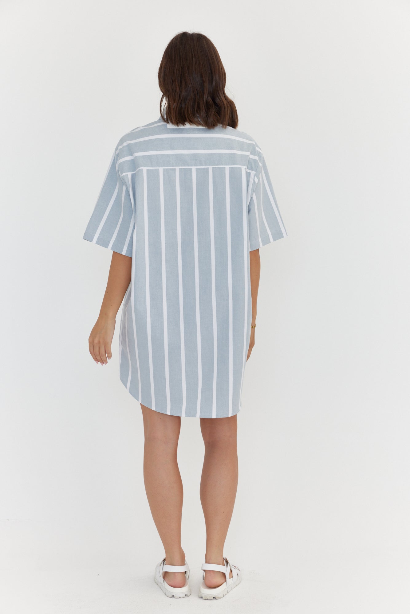 APEX Dress Chambray Sage Stripe