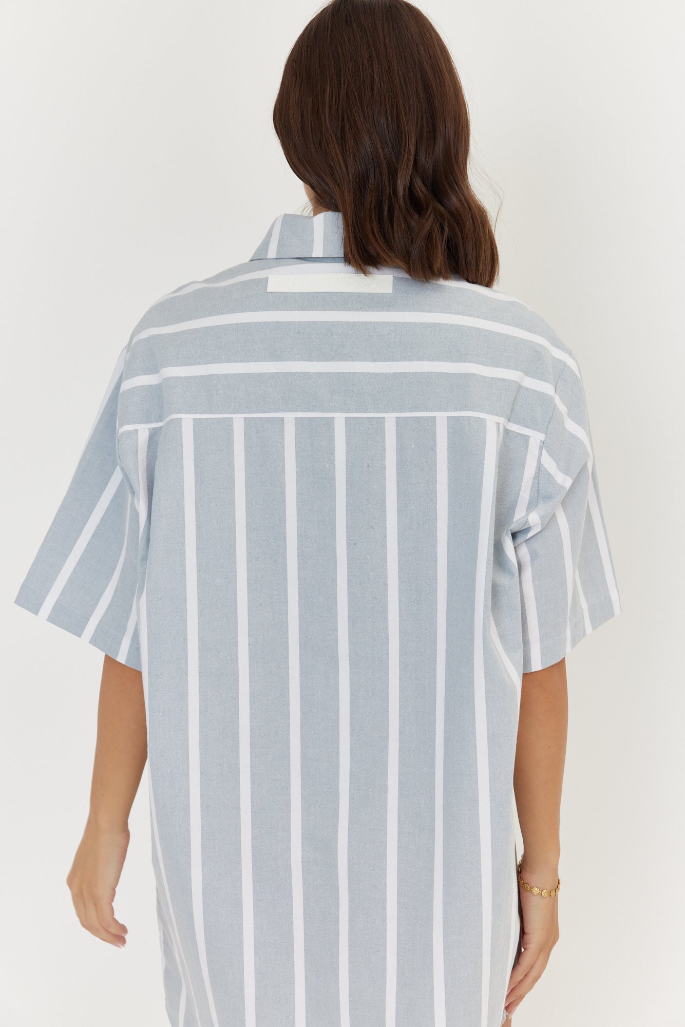 APEX Dress Chambray Sage Stripe