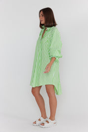 LYCIUM Dress Lime Stripe