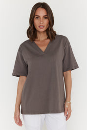 NIX V-Neck T-Shirt Taupe Brown