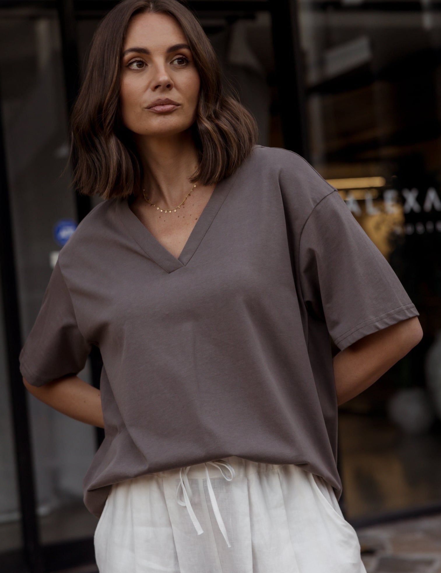 NIX V-Neck T-Shirt Taupe Brown