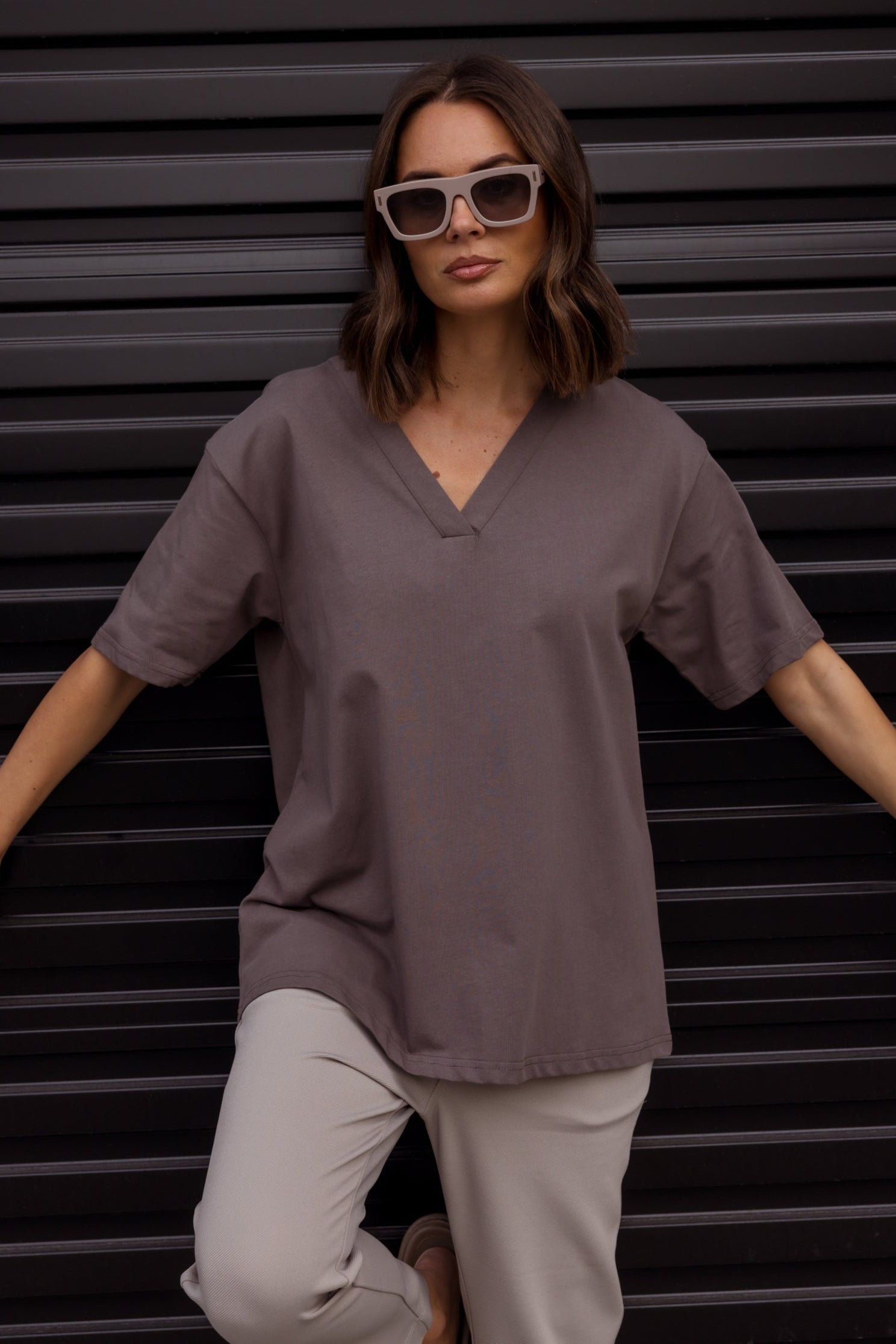NIX V-Neck T-Shirt Taupe Brown