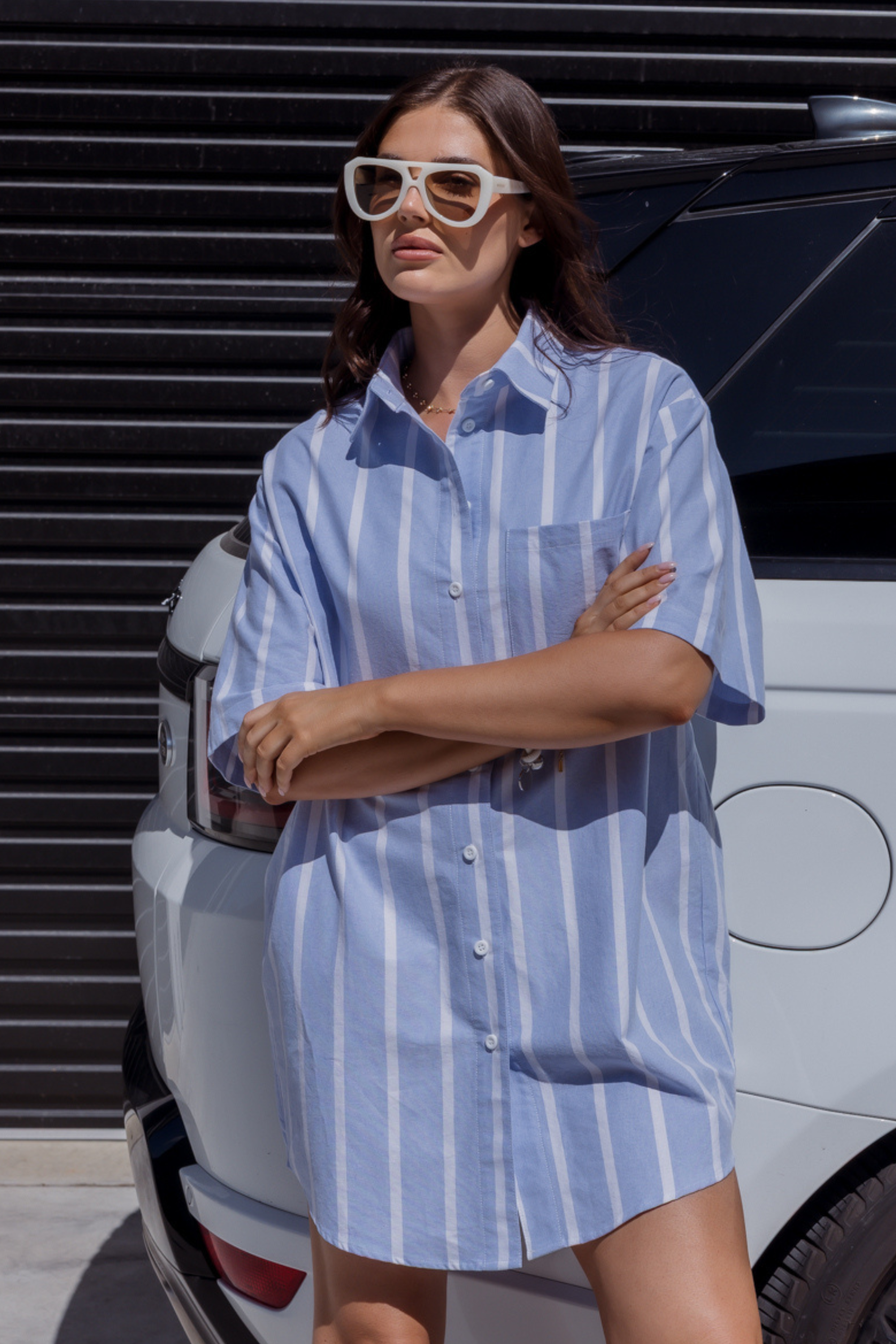 APEX Dress Chambray Blue Stripe